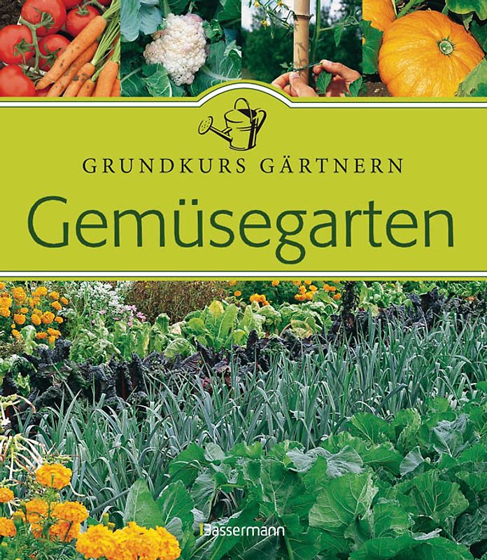 Gemüsegarten