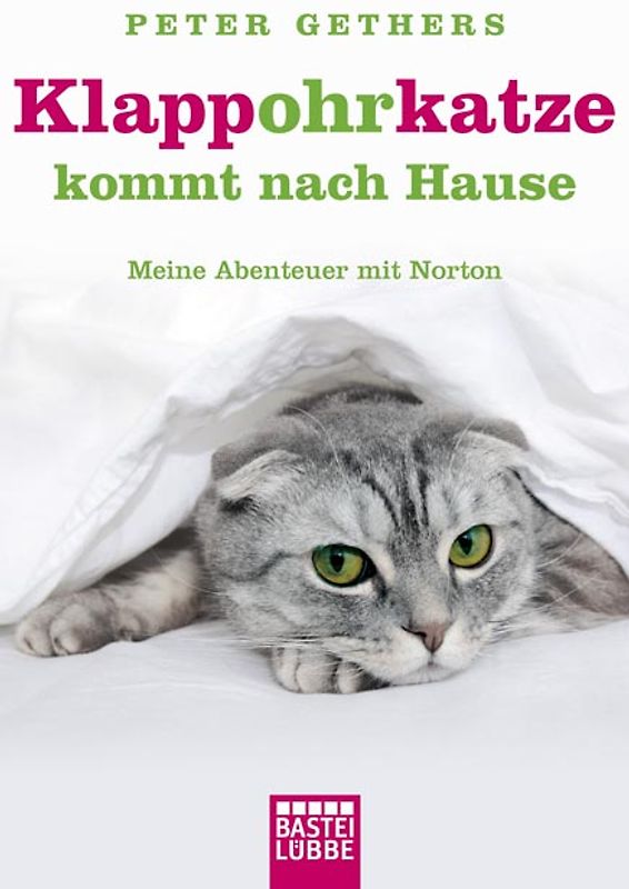 Klappohrkatze kommt nach Hause