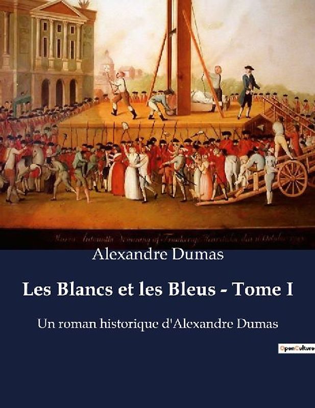 Les Blancs et les Bleus - Tome I