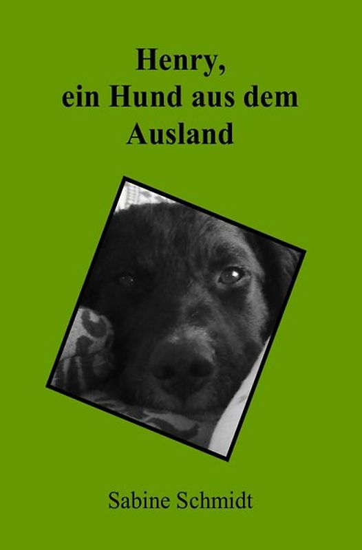 Henry, ein Hund aus dem Ausland