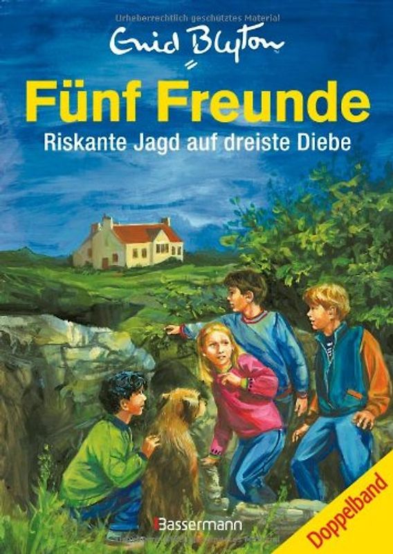 Fünf Freunde - Riskante Jagd auf dreiste Diebe