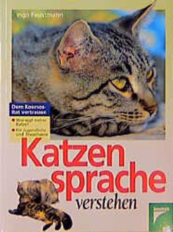 Katzensprache verstehen