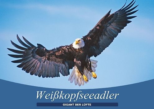 Gigant der Lüfte – Weißkopfseeadler (Posterbuch DIN A4 quer)