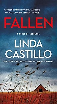 Fallen: A Novel of Suspense (The Kate Burkholder, Band 13)