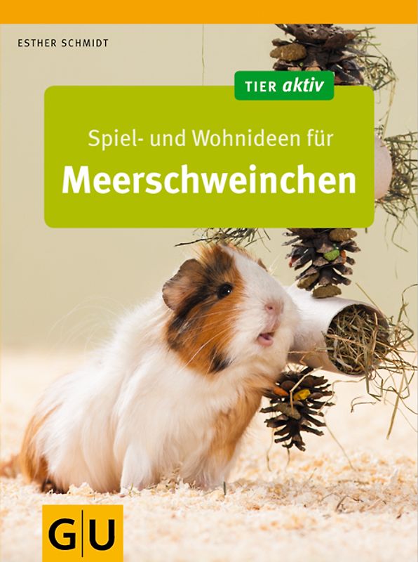 Spiel- und Wohnideen für Meerschweinchen