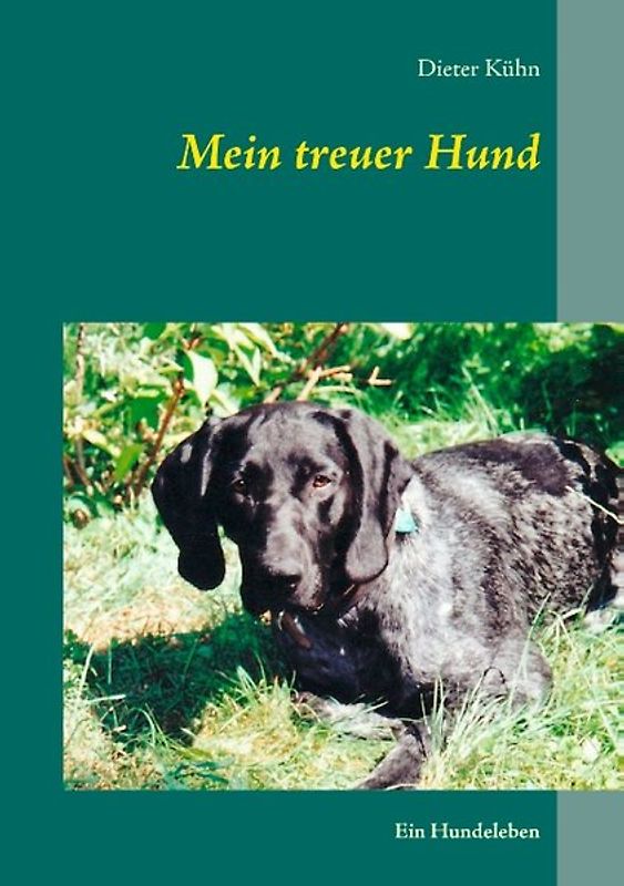 Mein treuer Hund