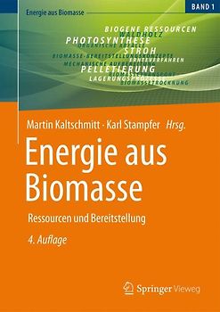 Energie aus Biomasse