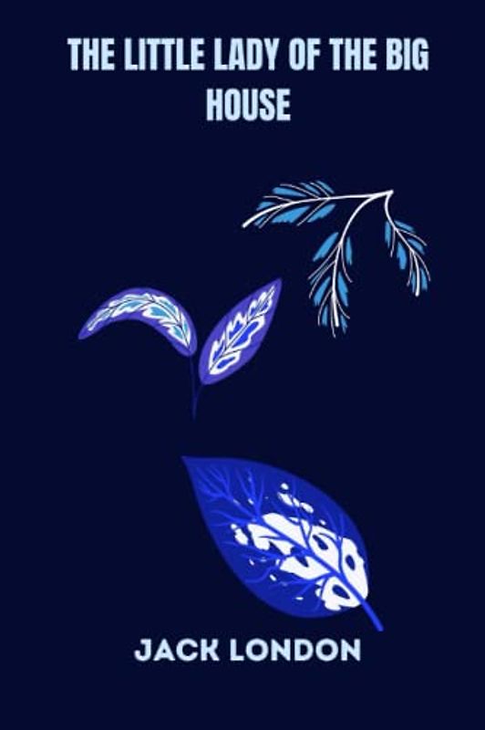 The Little Lady of the Big House by jack london