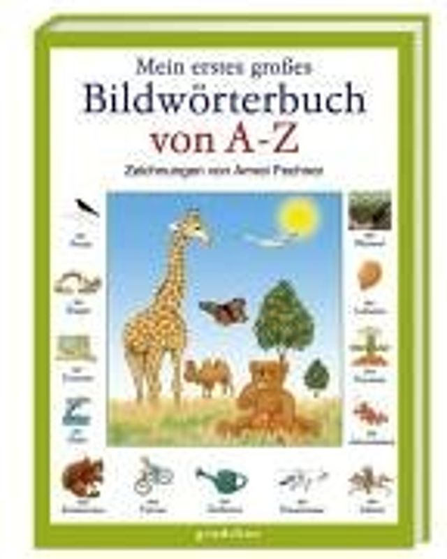 Mein erstes grosses Bildwörterbuch von A - Z