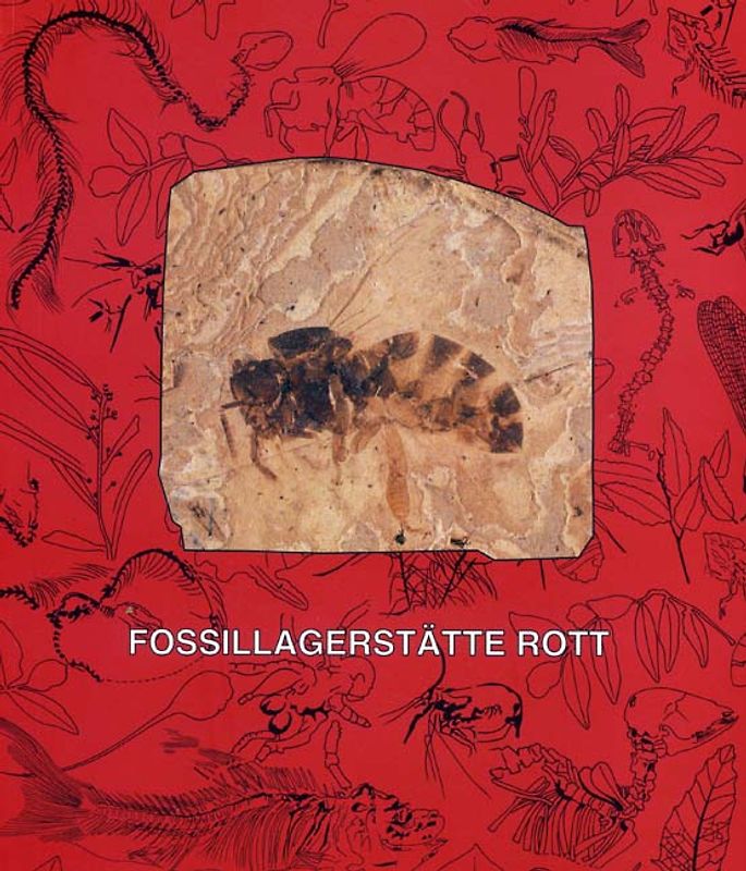 Fossillagerstätte Rott bei Hennef im Siebengebirge. Das Leben an einem subtropischen See vor 25 Millionen Jahren