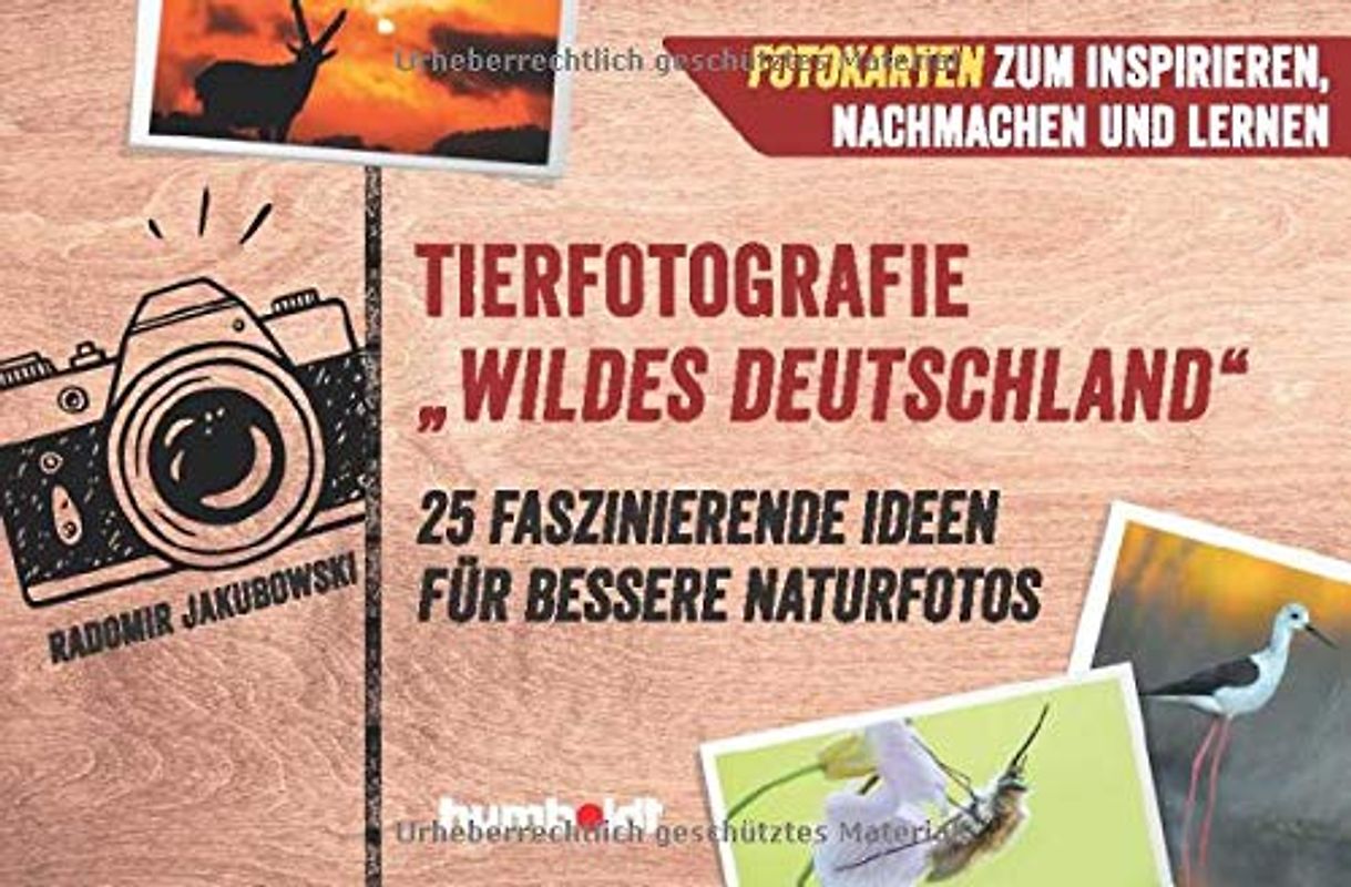 Tierfotografie „Wildes Deutschland“