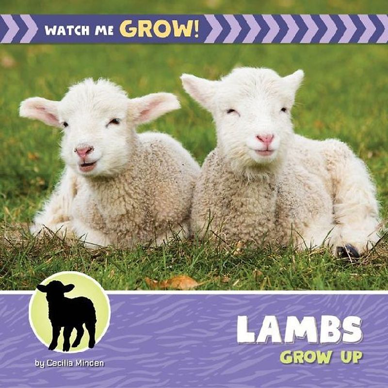 Lambs Grow Up