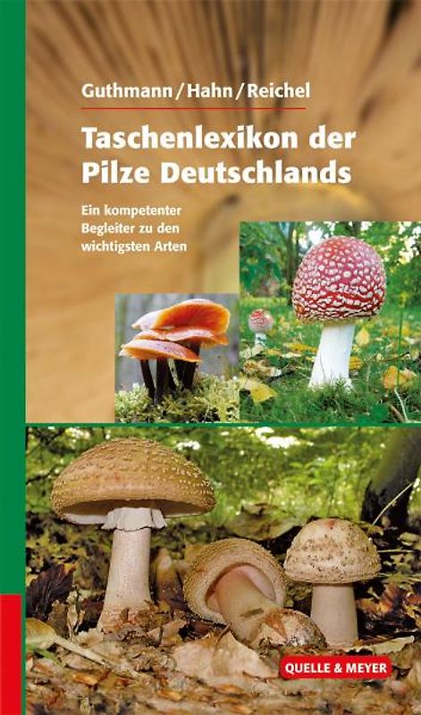 Taschenlexikon der Pilze
