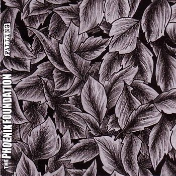 the Phoenix Foundation - Falling