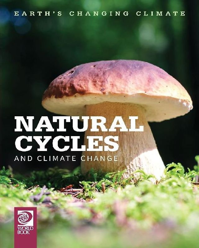 Natural Cycles and Climate Change