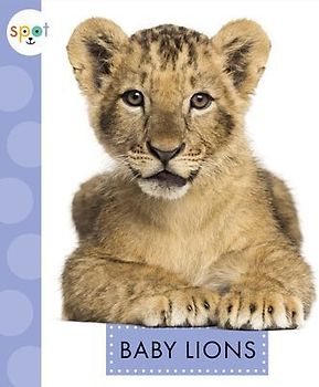 Baby Lions
