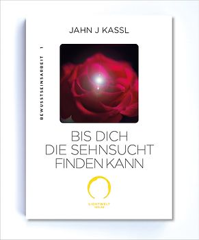 Bis dich die Sehnsucht finden kann