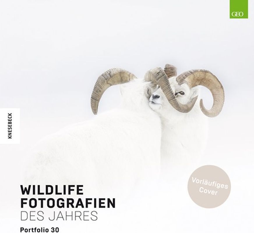 Wildlife Fotografien des Jahres – Portfolio 30