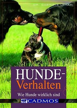 Hundeverhalten