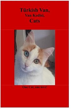 Türkish Van, Van Kedisi, Cats