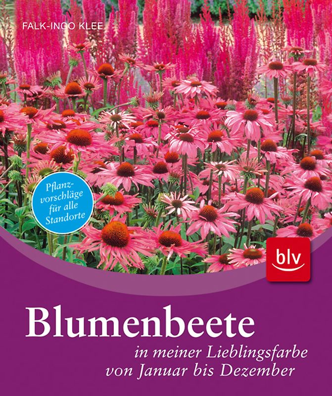 Blumenbeete in meiner Lieblingsfarbe von Januar bis Dezember