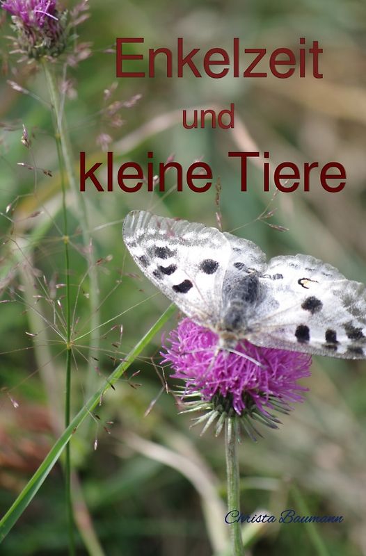 Mit den Enkeln durchs Jahr / Enkelzeit und kleine Tiere