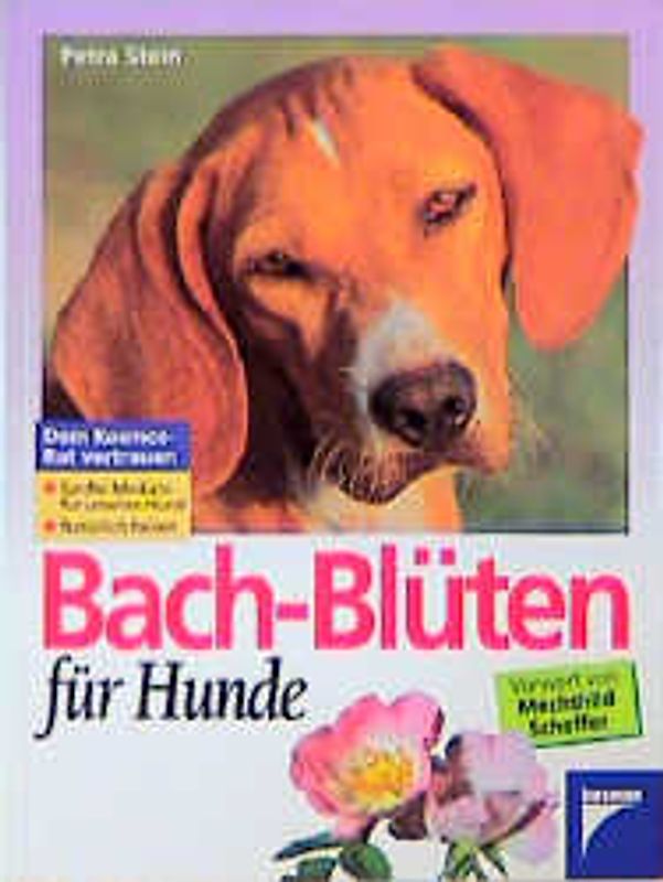 Bach-Blüten für Hunde