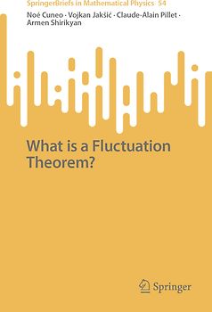 What is a Fluctuation Theorem?