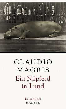 Ein Nilpferd in Lund