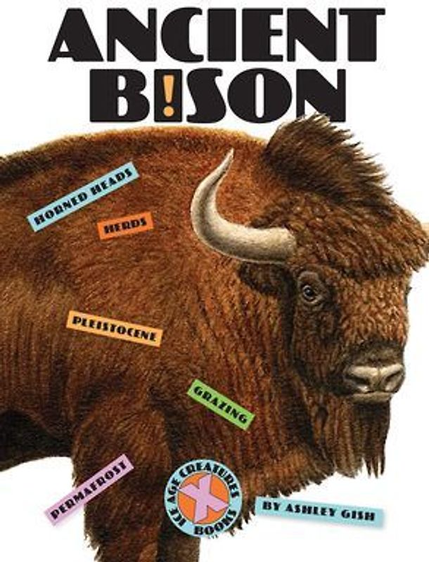 Ancient Bison