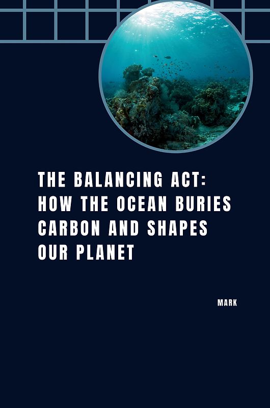 The Balancing Act: How the Ocean Buries Carbon and Shapes Our Planet
