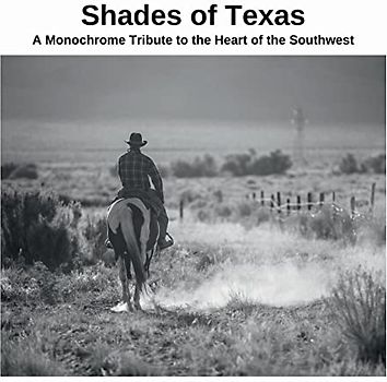 Shades of Texas: A Monochrome Tribute to the Heart of the Southwest