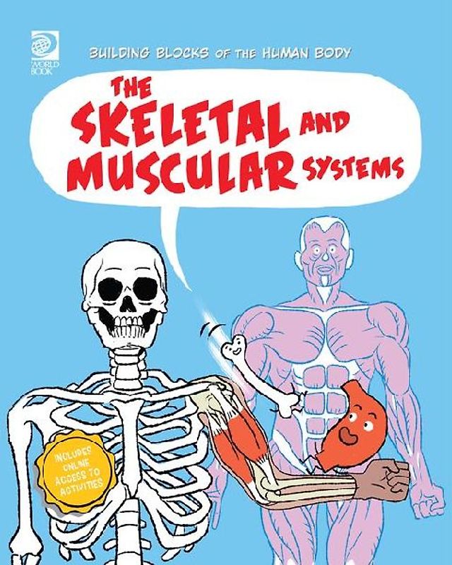 The Skeletal and Muscular Systems