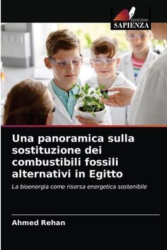 Una panoramica sulla sostituzione dei combustibili fossili alternativi in Egitto
