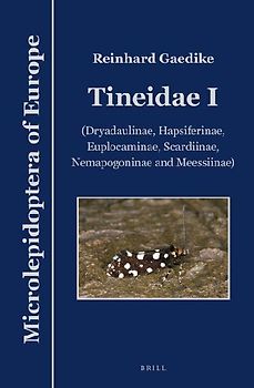 Tineidae I