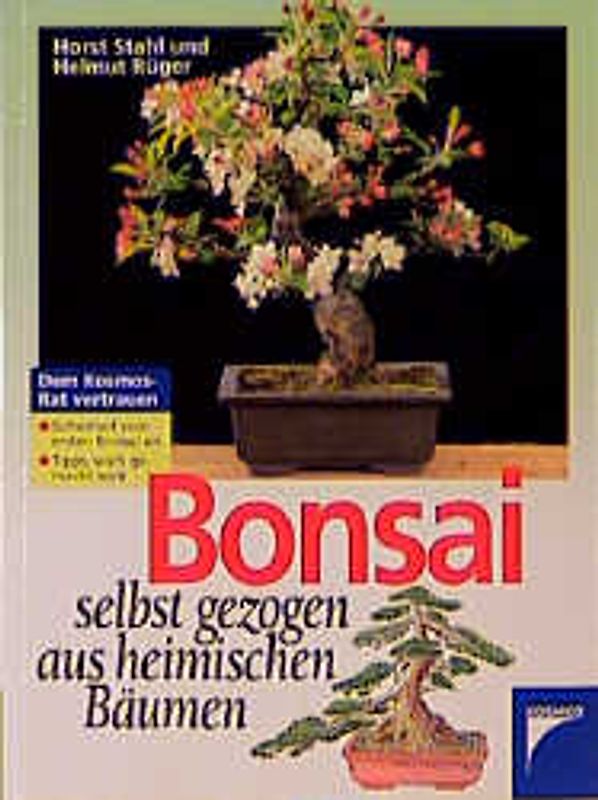 Bonsai selbst gezogen aus heimischen Bäumen