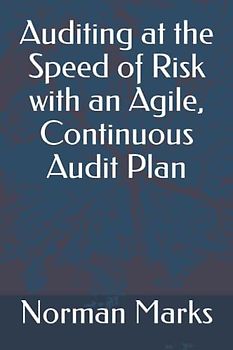 Auditing at the Speed of Risk with an Agile, Continuous Audit Plan
