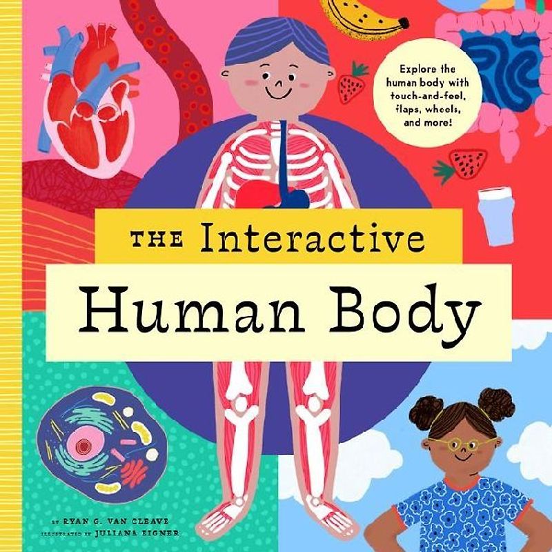 The Interactive Human Body