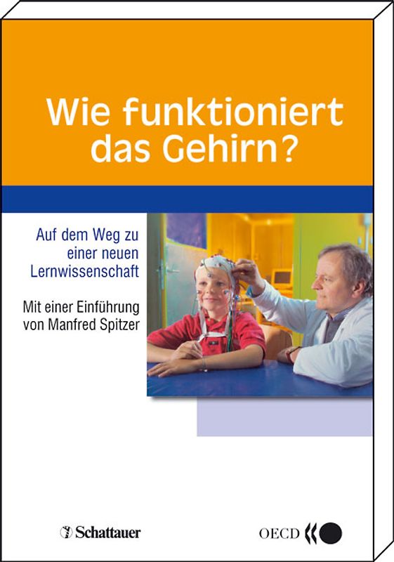Wie funktioniert das Gehirn?