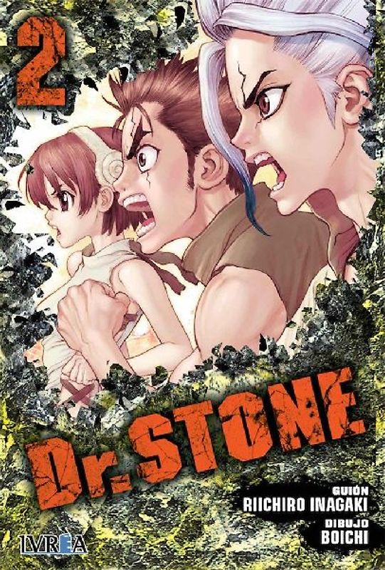 Dr. Stone