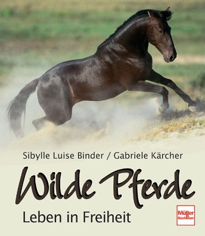Wilde Pferde - Leben in Freiheit