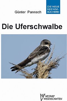 Die Uferschwalbe