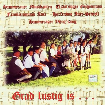 Hammerauer Musikanten - Grad Lustig Is...