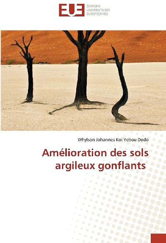 Amélioration des sols argileux gonflants