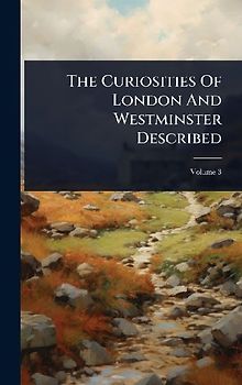 The Curiosities Of London And Westminster Described