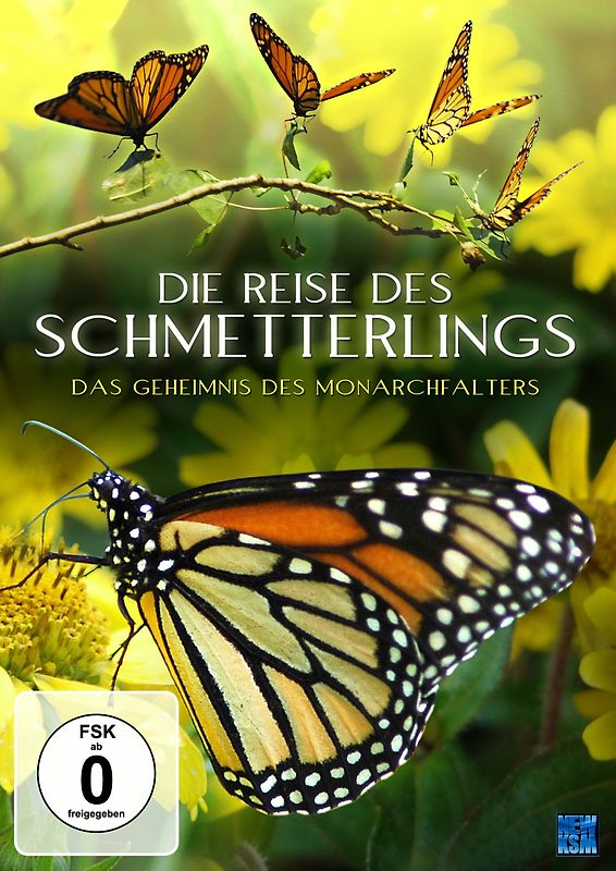 Die Reise des Schmetterlings DVD