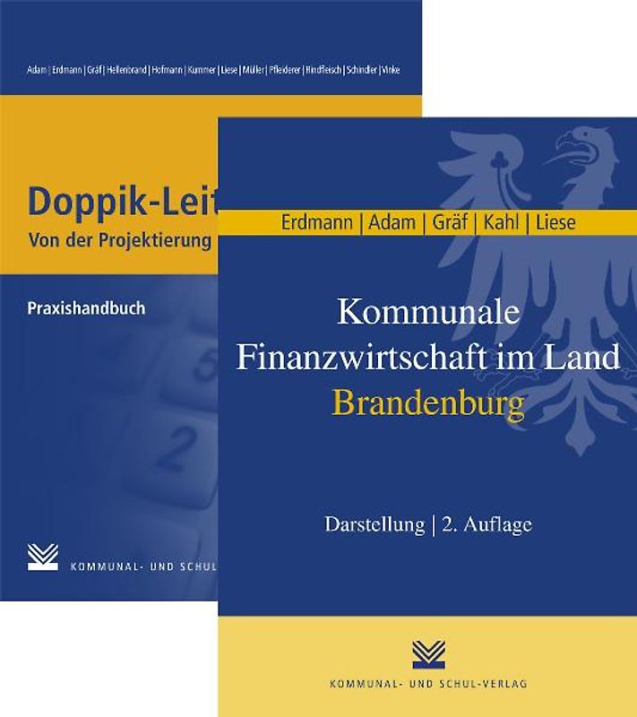 Kommunale Finanzwirtschaft im Land Brandenburg /Doppik-Leitfaden