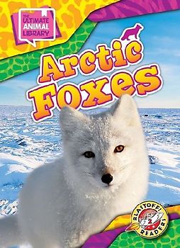 Arctic Foxes