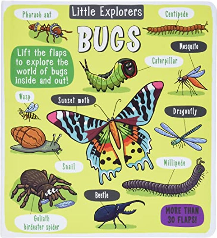 Little Explorers: Bugs