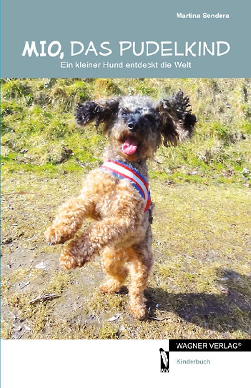 Mio, das Pudelkind